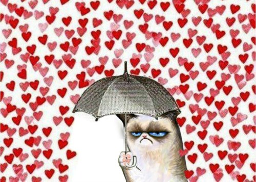 valentine2527s2bday2b780