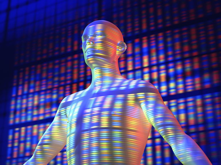 genetic-individuality-male-body-with-dna-548001023-59f9d183af5d3a0010859452