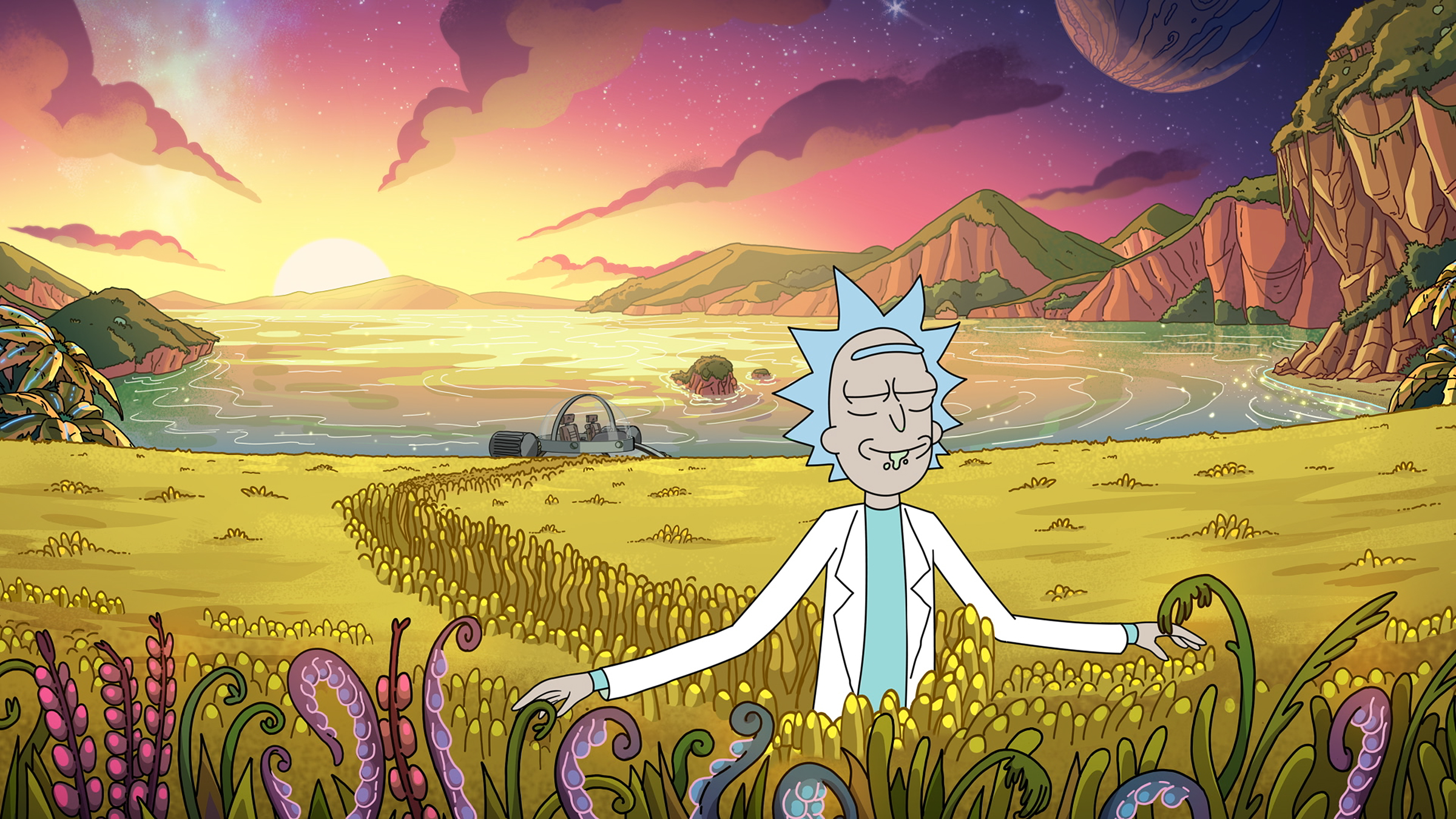 Rick and Morty Season 4 Credit: Adult Swim