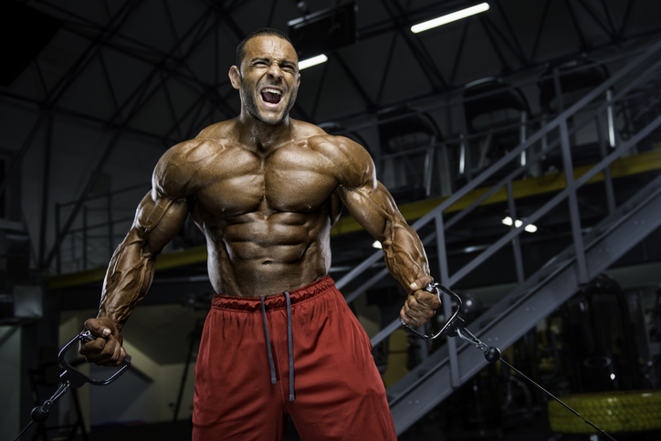 Hardcore Body Building Workout